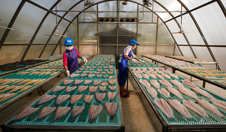 CAPFISH-Capture boosts fish processors with EU backing